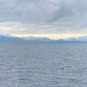 Meet your Posher, Baljit